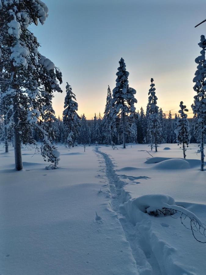 Villanorva Saarenkyla Bagian luar foto